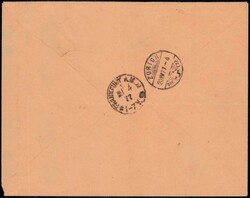 NEUMÜNSTER 1877, 25c grün, farbfrisch auf Brief nach ...