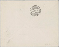 1919, 50c Flügelradaufdruck auf sauberem Brief von Dübendorf nach ...