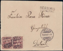 Seeburg, Lot in Album ab Sitzende Helvetia, dabei Balkenstempel + 1x ...