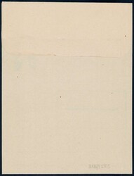 1926, NHORA, 5c Zeitungsstreifband in seltenem ungebrauchtem Zustand, ...