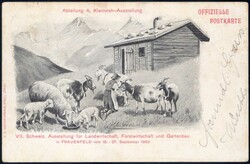 FRAUENFELD AUSSTELLUNGSPLATZ 1903, 5c Ziffer auf Ansichtskarte der ...