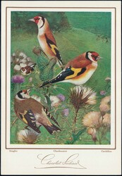 Menu, 11 unbeschriftete Menukarten der Chocolat Suchard, alle mit ...