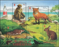 Picture 2 for Lot from Pilatusmail.ch