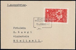 Picture 1 for Lot from Pilatusmail.ch