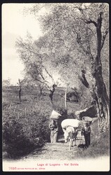 1912 Hotel Stempel: VILLA MORITZ Castagnola auf AK: Val Solda