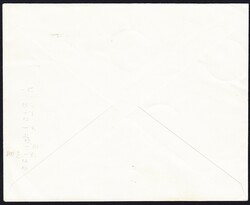 1914/1918 10 verschiedene Marken auf Brief, gestempelt DIVISIONSSTAG ...