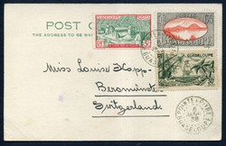 2915: Guadeloupe
