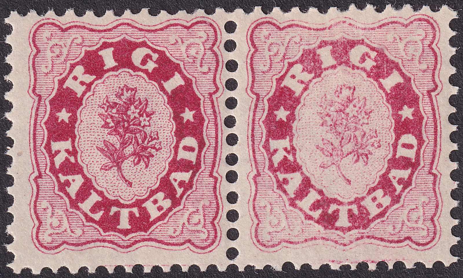 1864, Rigi Kaltbad, Paar mit den unterschiedlichen Farben purpur & ...