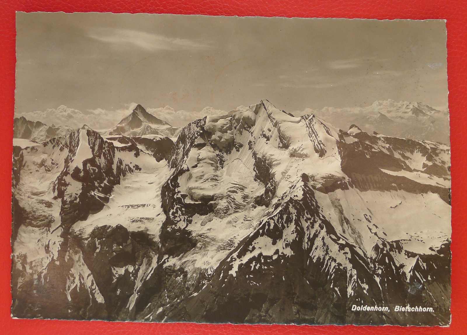 Image 17 for lot number 0000108866 for Luzernerraute Webshop 