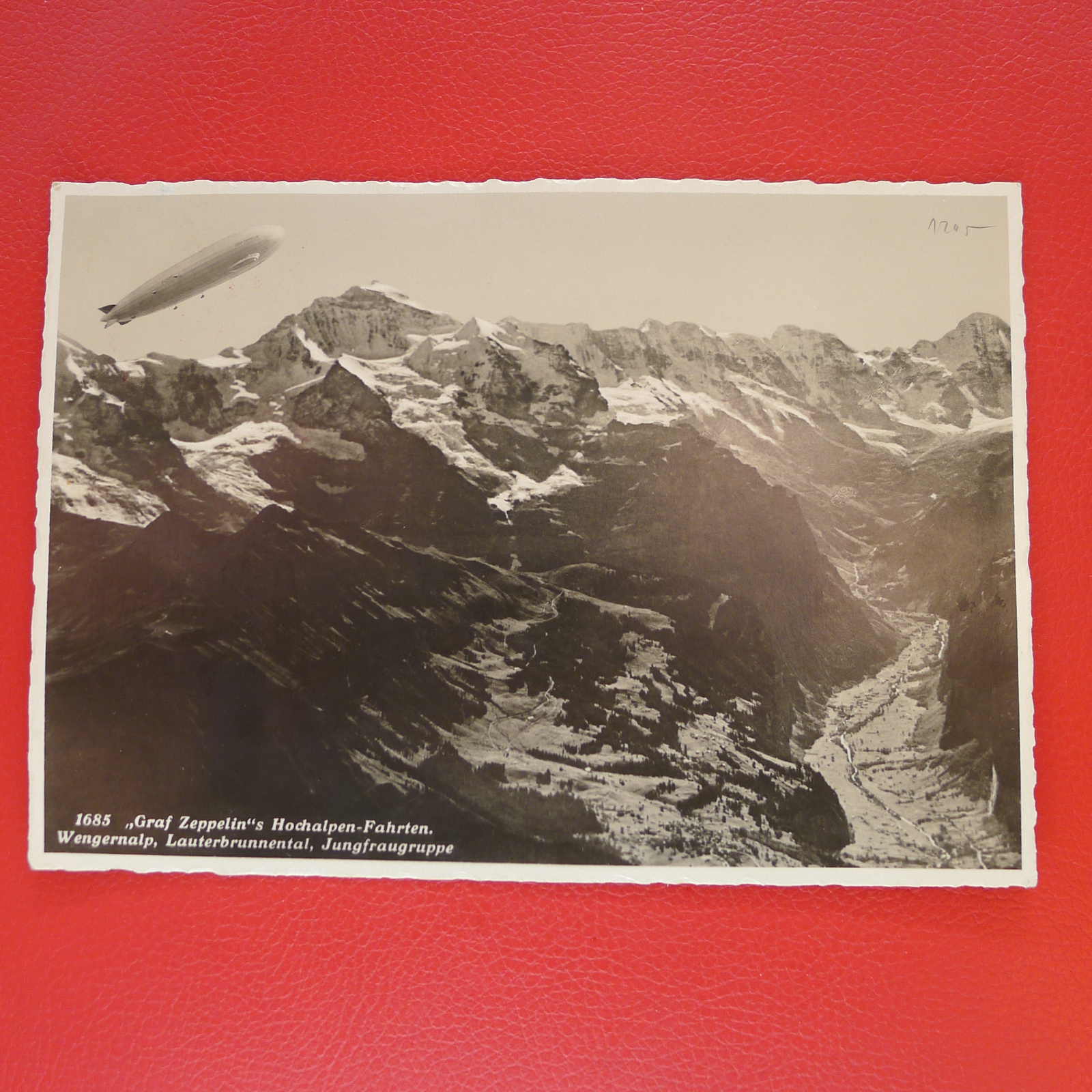 Image 24 for lot number 0000108866 for Luzernerraute Webshop 
