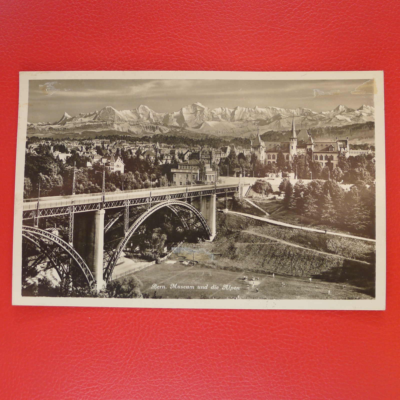 Image 26 for lot number 0000108866 for Luzernerraute Webshop 