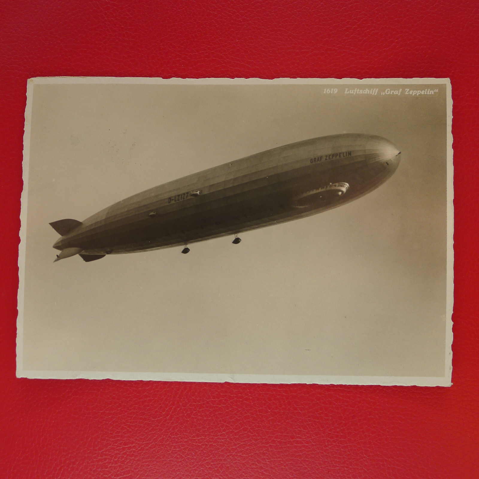 Image 28 for lot number 0000108866 for Luzernerraute Webshop 