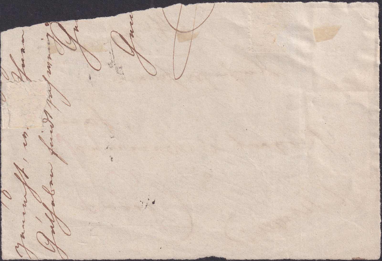 Image 2 for lot number 0000113434 for Luzernerraute Webshop 