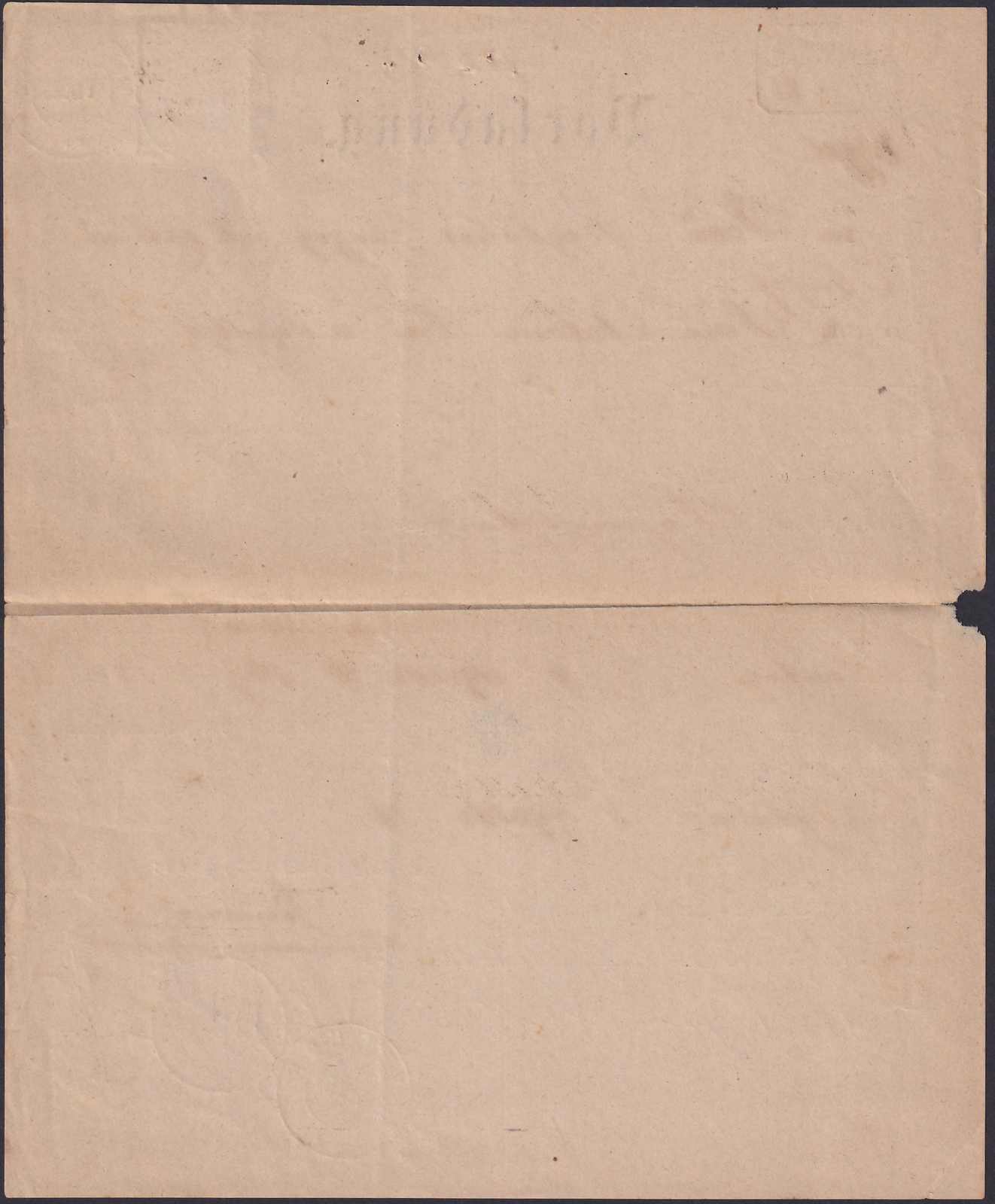 Image 3 for lot number 0000114207 for Luzernerraute Webshop 