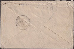 GENEVE 1881, Nr.30 (3x)+38 auf Damenbrief (klein) nach PEZENAS (FR) ...