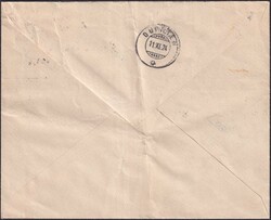 1924, Nr.167 auf illustriertem Brief: PFÄFFIKON (A.PETER) Buch / ...