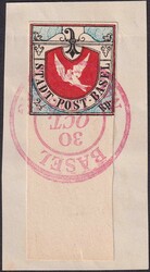 BASLER TAUBE, Nr.8 gesuchte WINTER-FÄLSCHUNG mit unten breitem ...