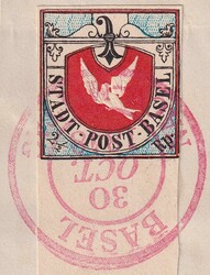 BASLER TAUBE, Nr.8 gesuchte WINTER-FÄLSCHUNG mit unten breitem ...