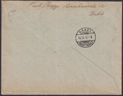 1918, J11 (2x) von ZÜRICH nach BASEL, Wäppli: Genfer Adler, sehr ...