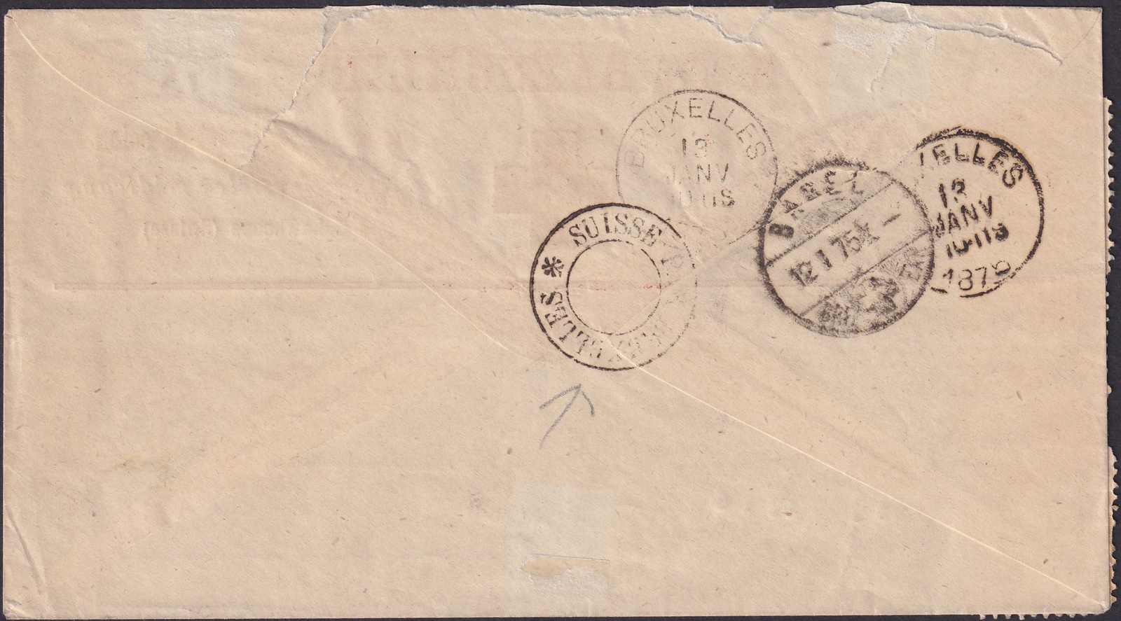 Image 2 for lot number 0000200205 for Luzernerraute Webshop 