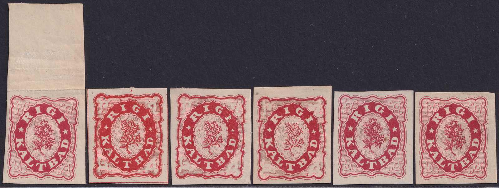 Image 1 for lot number 0000201819 for Luzernerraute Webshop 