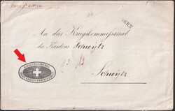 Picture 1 for Lot from Luzernerraute GmbH