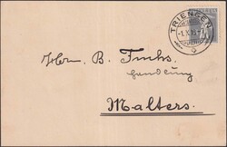 TRIENGEN 1918 nach Malters, Nr.138II fehlerfrei mit Vollstempel auf ...