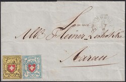 Picture 1 for Lot from Luzernerraute GmbH