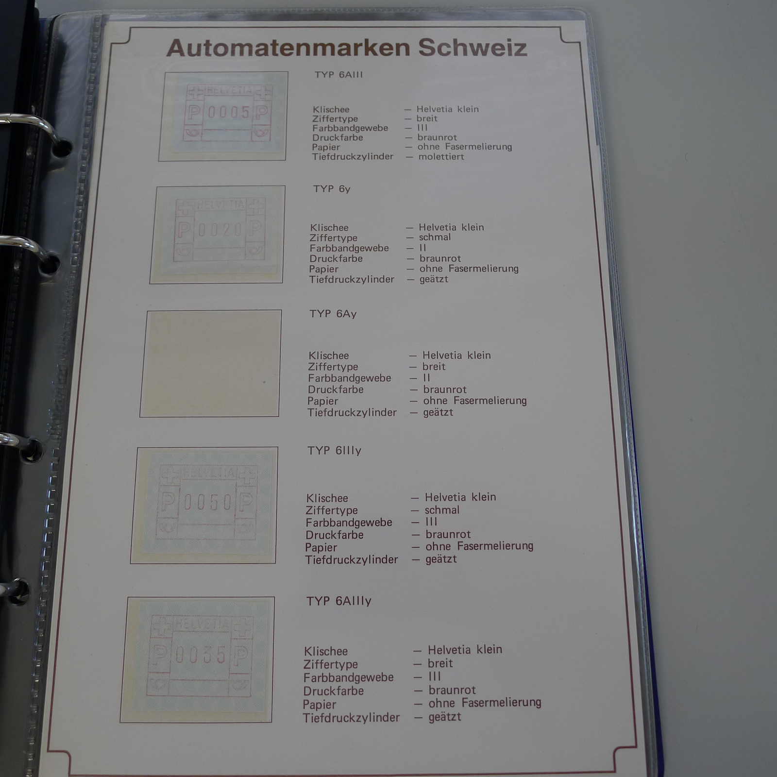Image 21 for lot number 0003000043 for Luzernerraute Webshop 