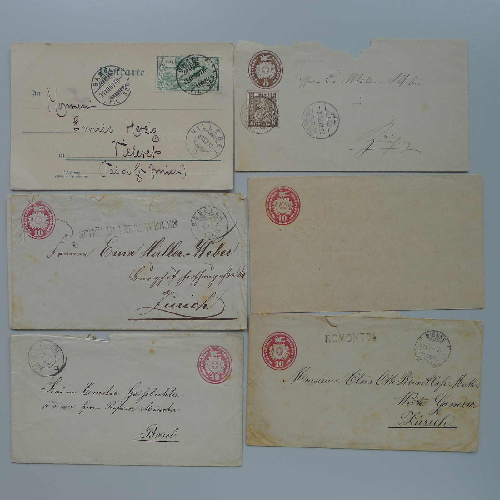 Image 7 for lot number 0003000616 for Luzernerraute Webshop 