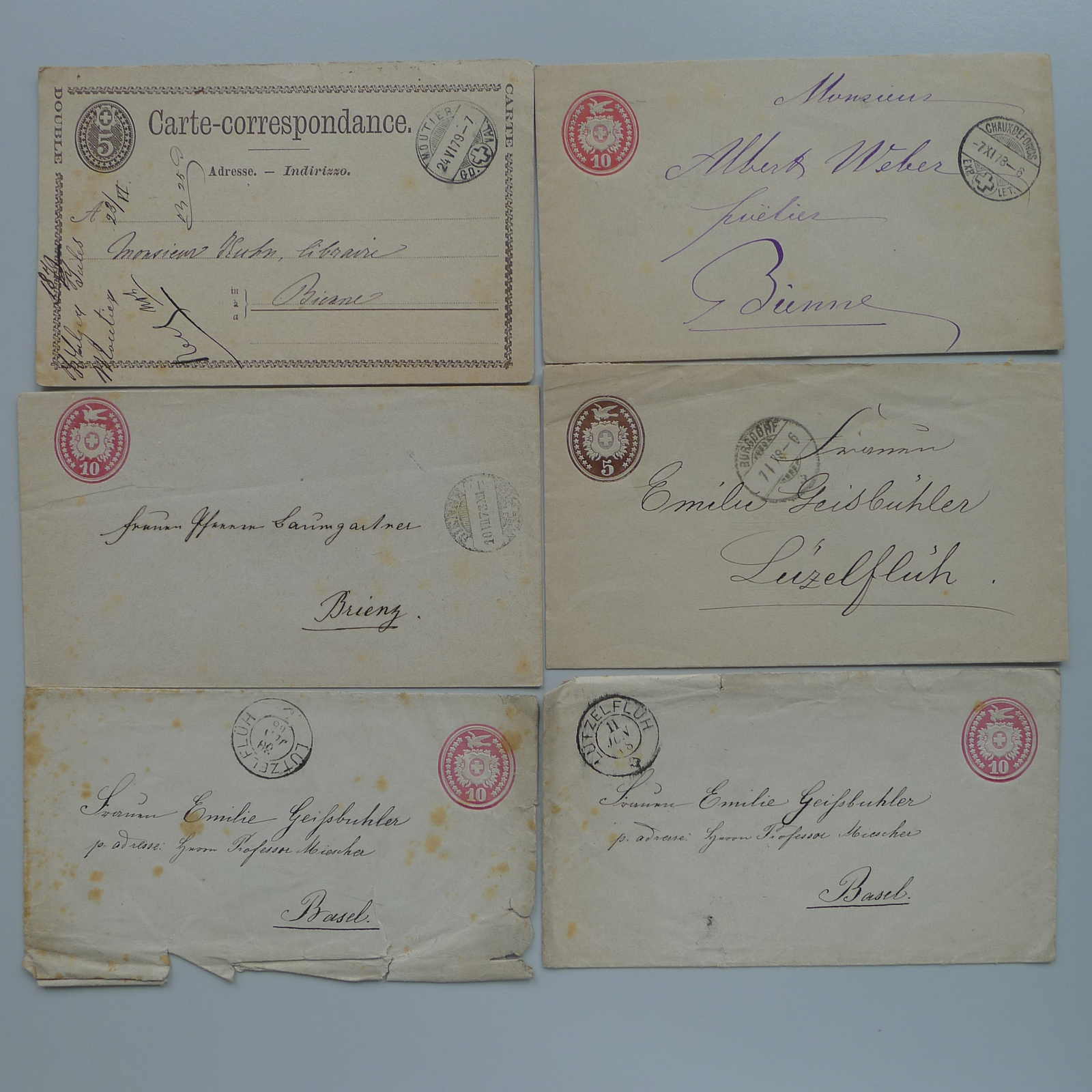 Image 10 for lot number 0003000616 for Luzernerraute Webshop 