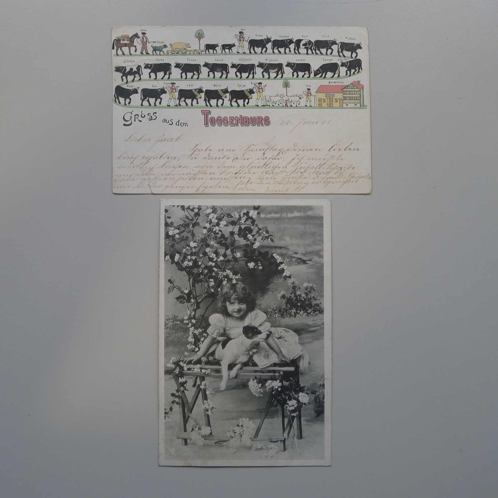 Image 11 for lot number 0003000678 for Luzernerraute Webshop 