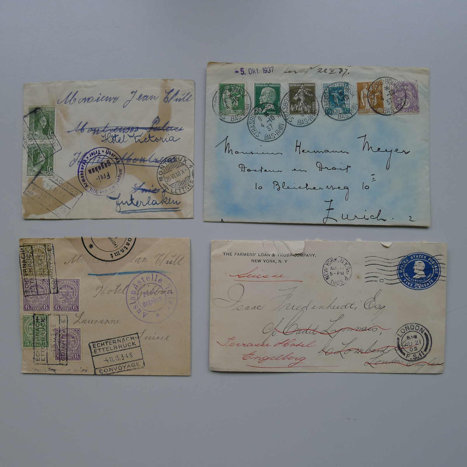 Image 2 for lot number 0003000684 for Luzernerraute Webshop 
