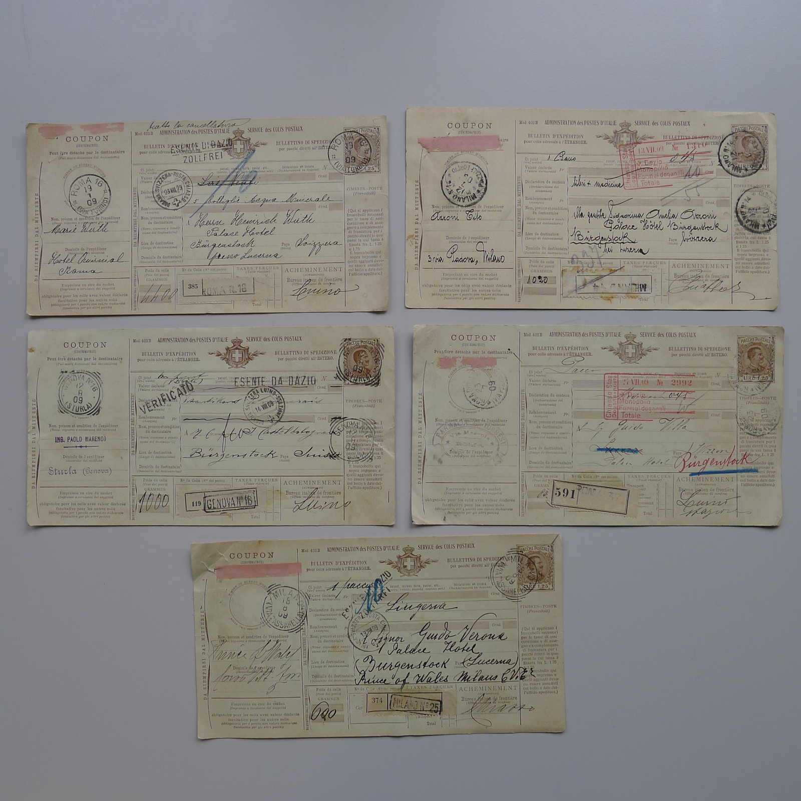 Image 10 for lot number 0003000684 for Luzernerraute Webshop 