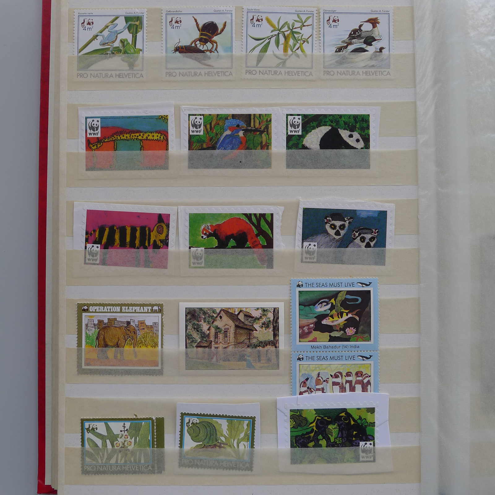 Image 11 for lot number 0003000738 for Luzernerraute Webshop 