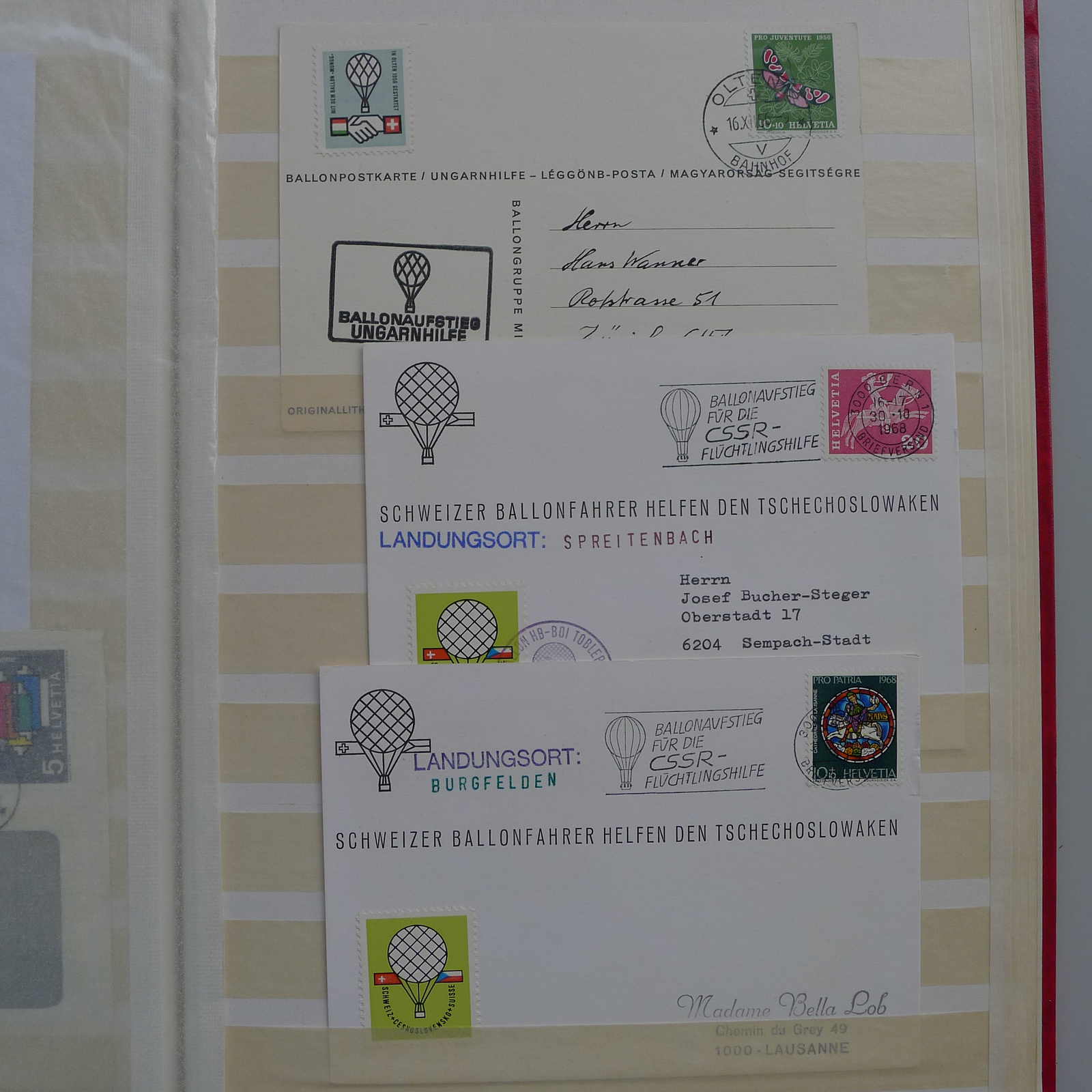Image 38 for lot number 0003000738 for Luzernerraute Webshop 