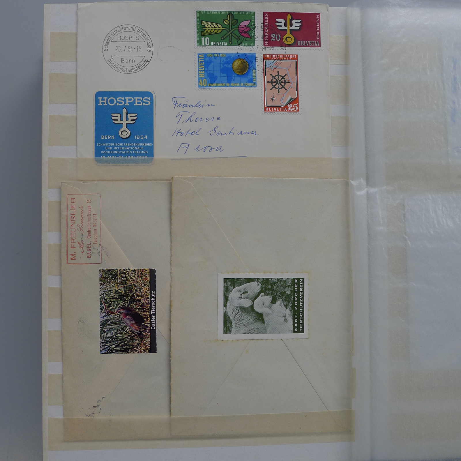 Image 45 for lot number 0003000738 for Luzernerraute Webshop 