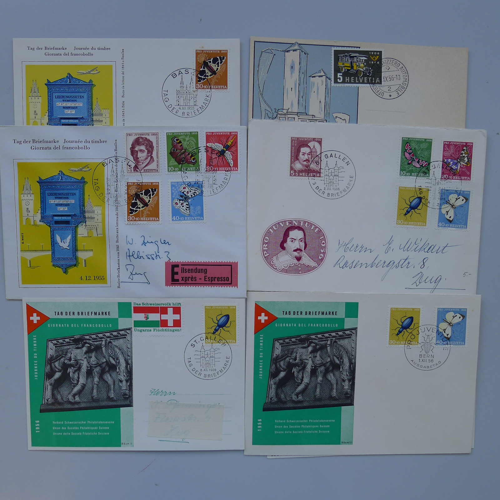 Image 12 for lot number 0003000785 for Luzernerraute Webshop 