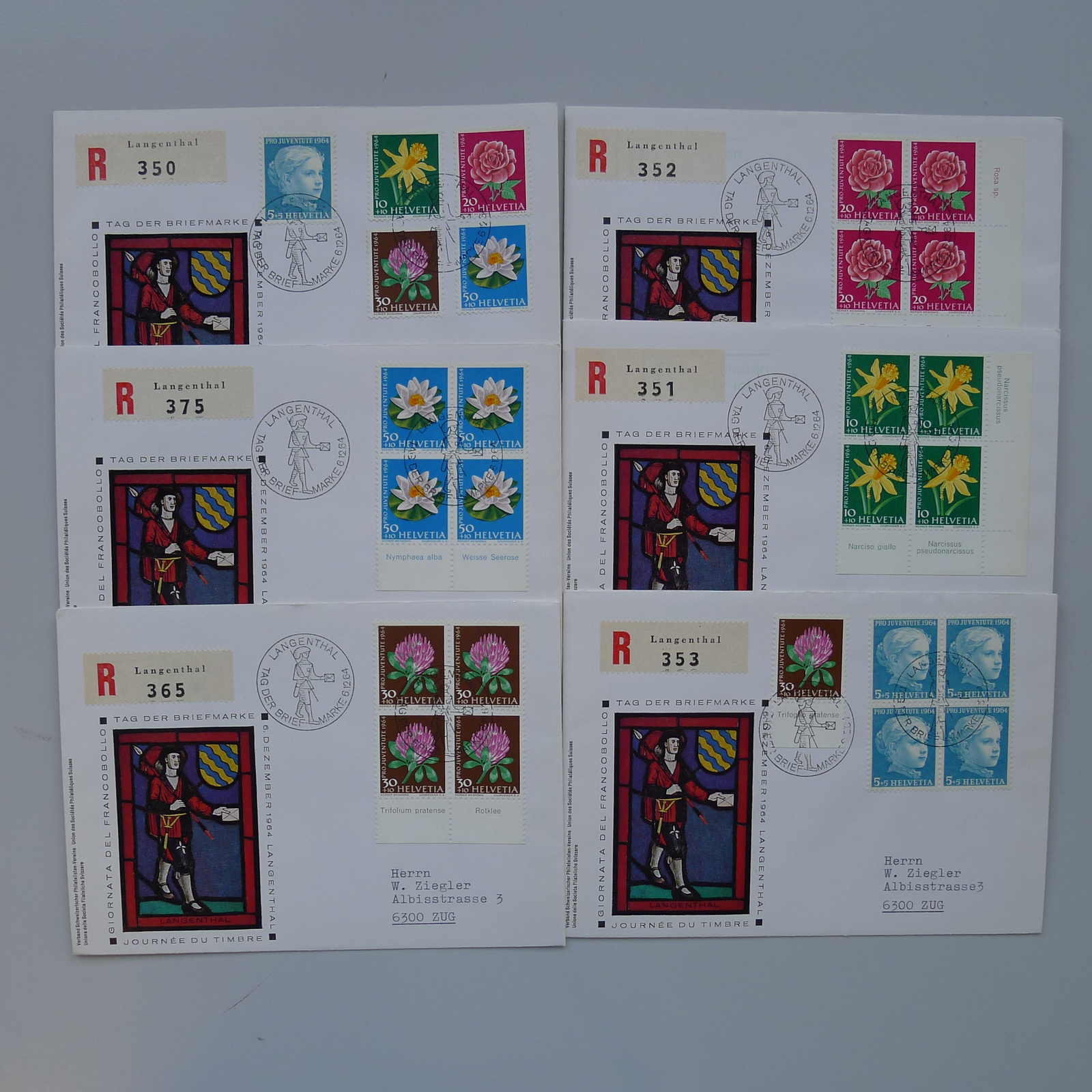 Image 17 for lot number 0003000785 for Luzernerraute Webshop 
