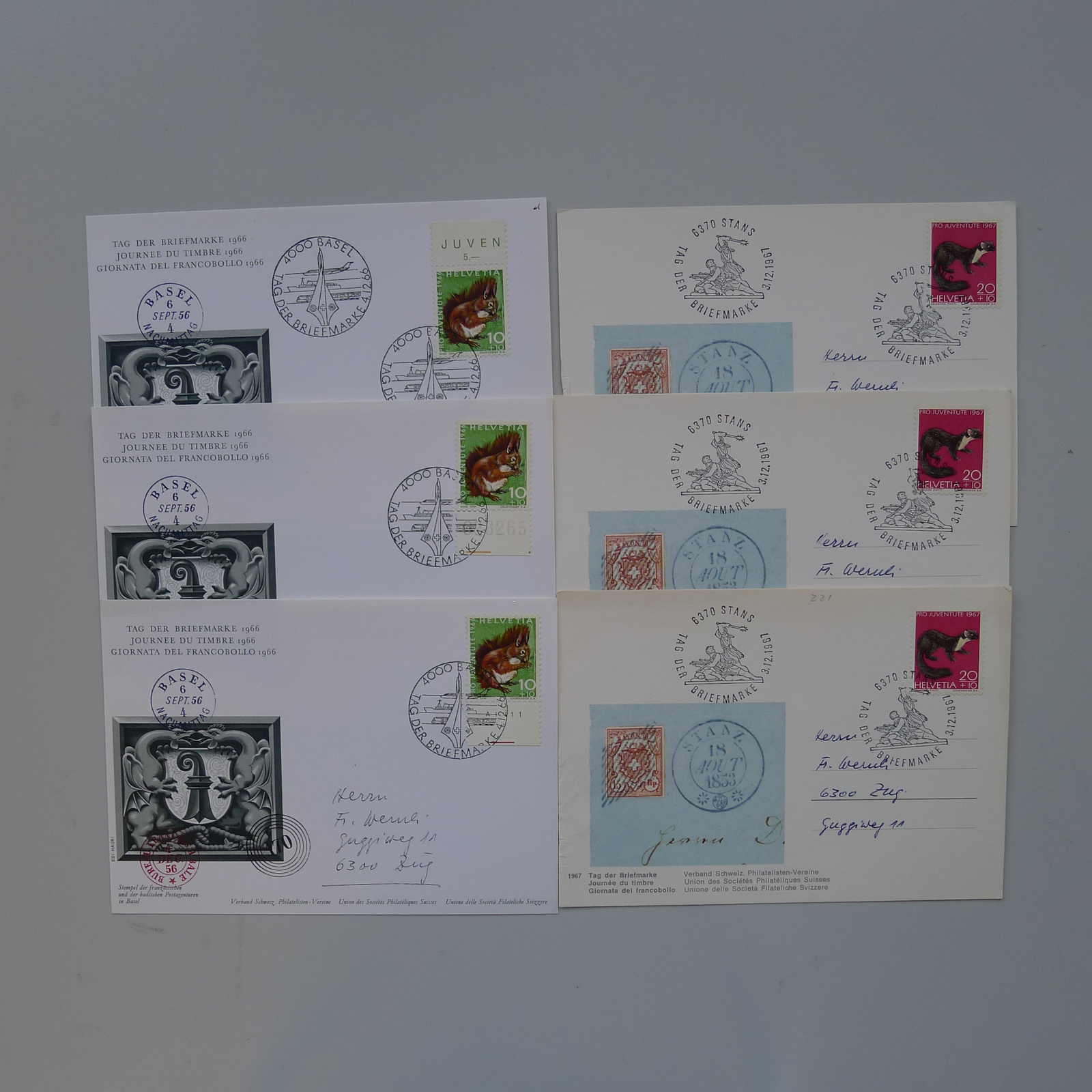 Image 20 for lot number 0003000785 for Luzernerraute Webshop 