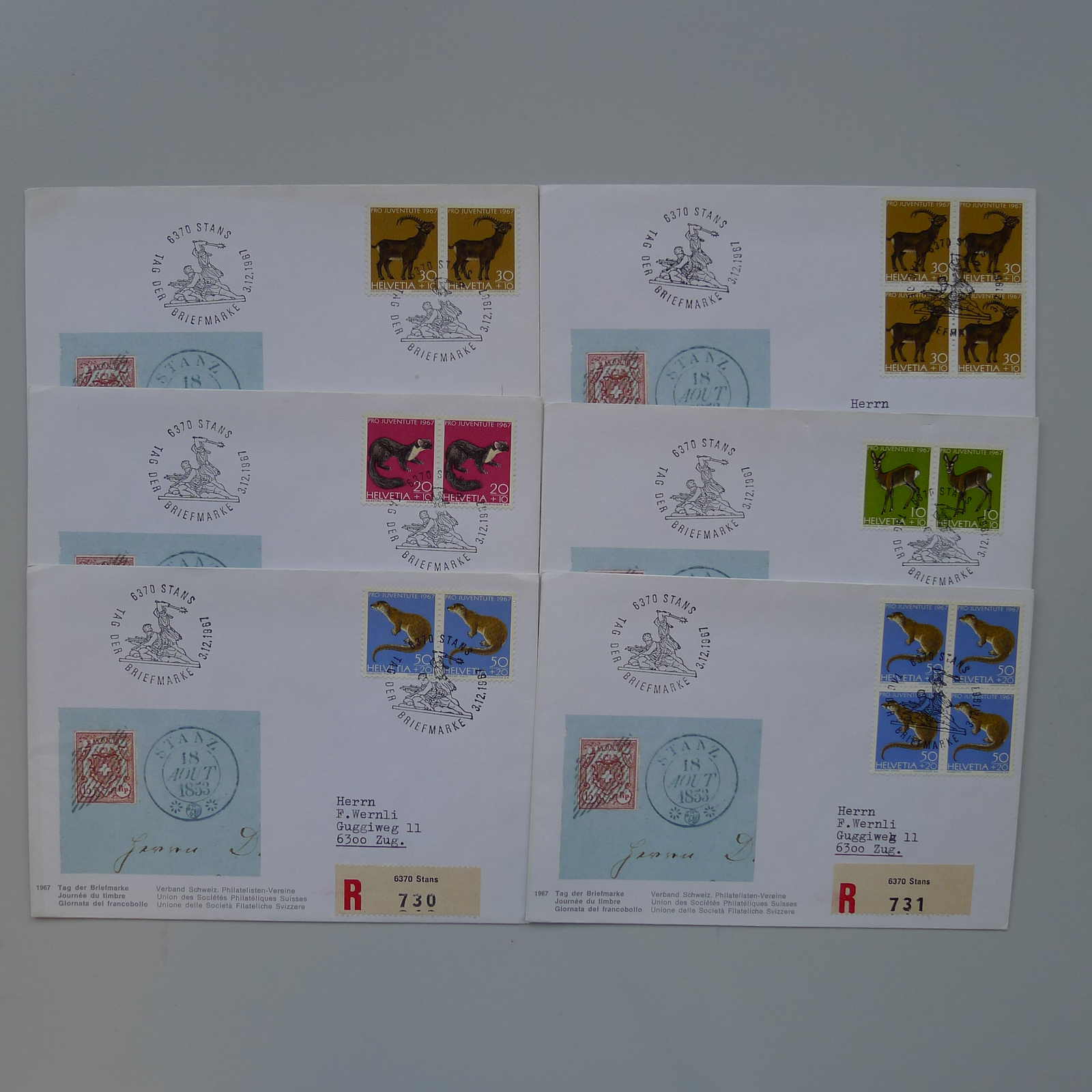 Image 21 for lot number 0003000785 for Luzernerraute Webshop 