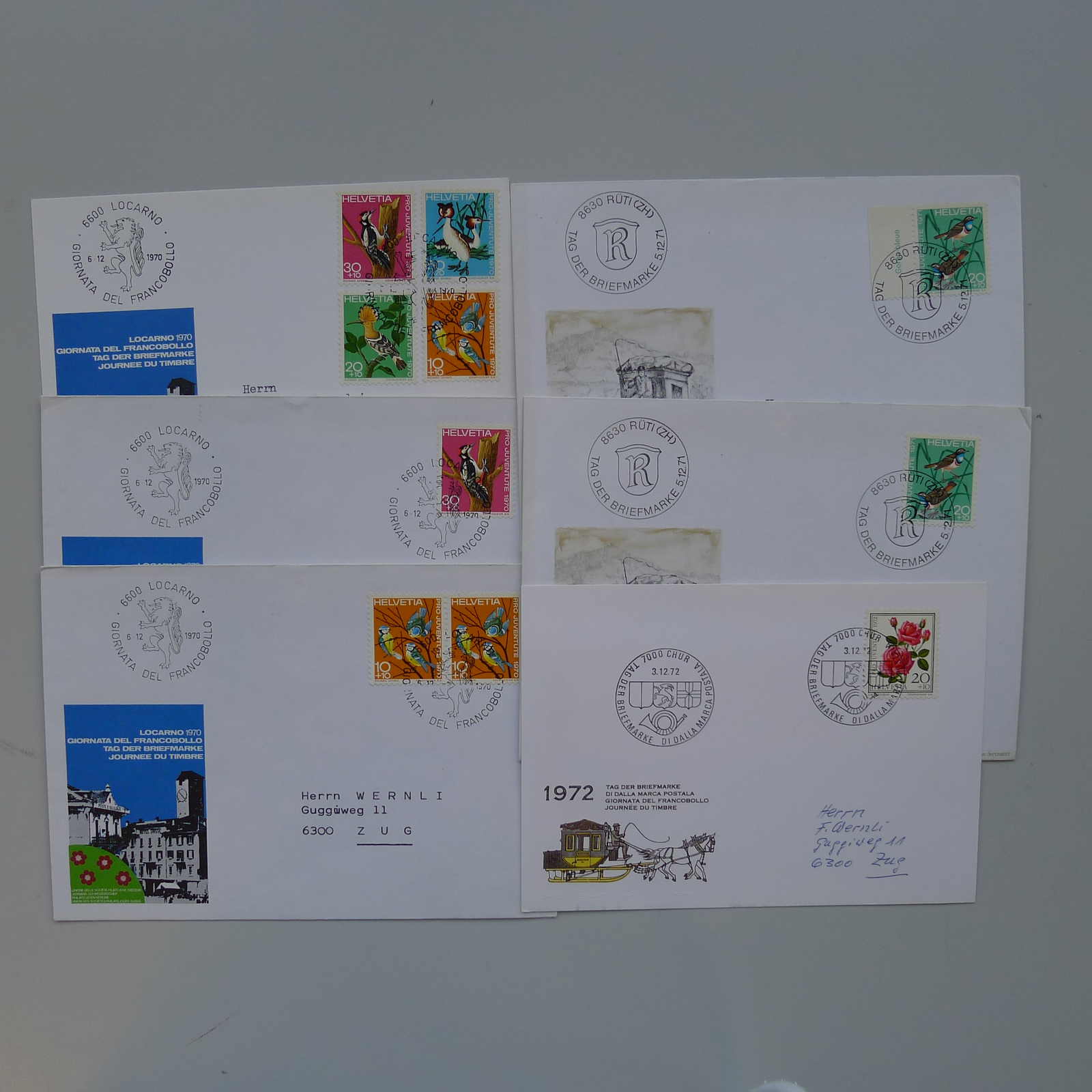Image 23 for lot number 0003000785 for Luzernerraute Webshop 