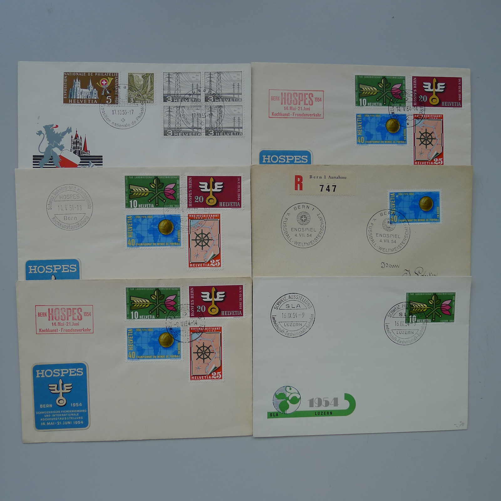 Image 19 for lot number 0003000786 for Luzernerraute Webshop 