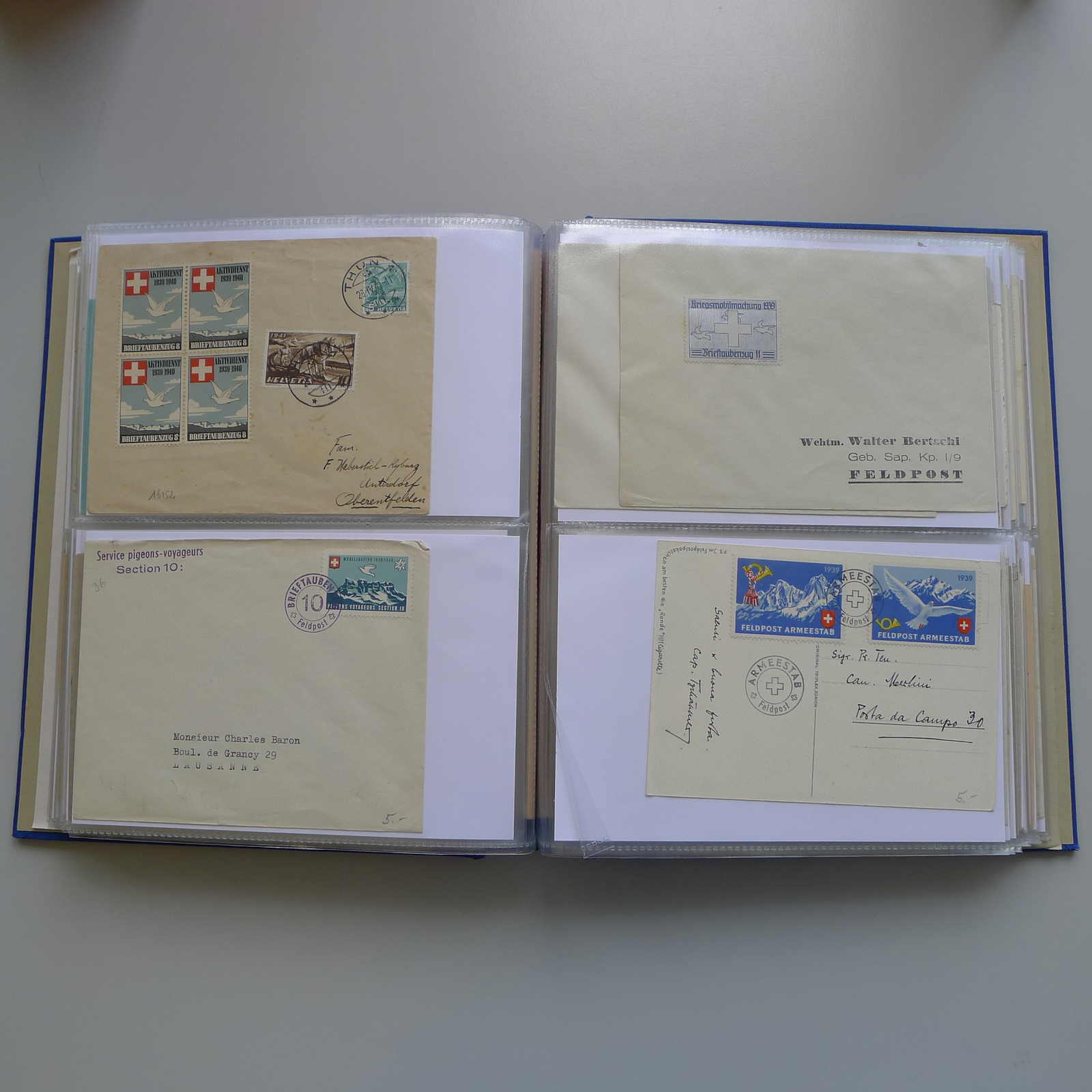 Image 144 for lot number 0003000837 for Luzernerraute Webshop 