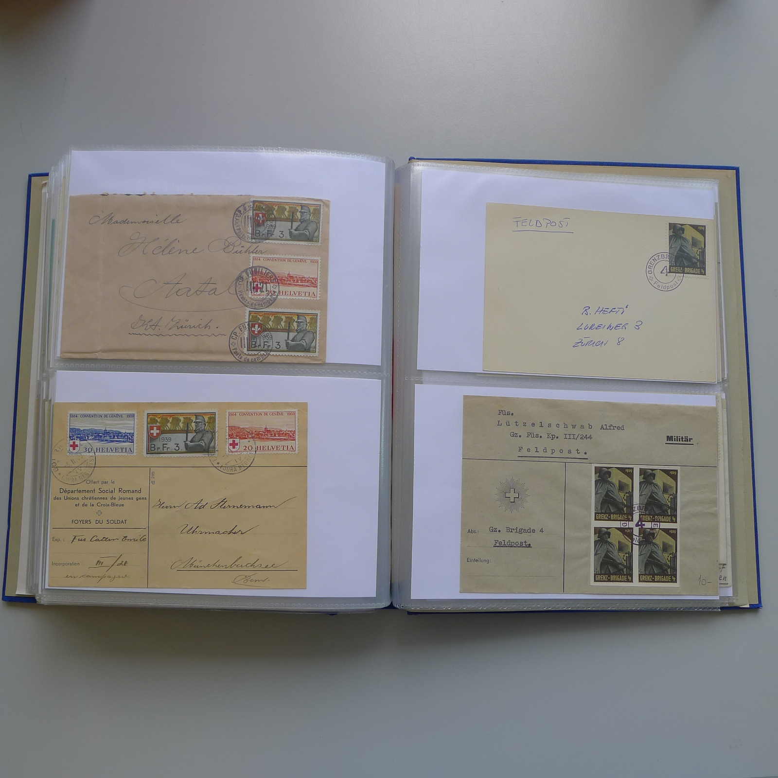 Image 156 for lot number 0003000837 for Luzernerraute Webshop 
