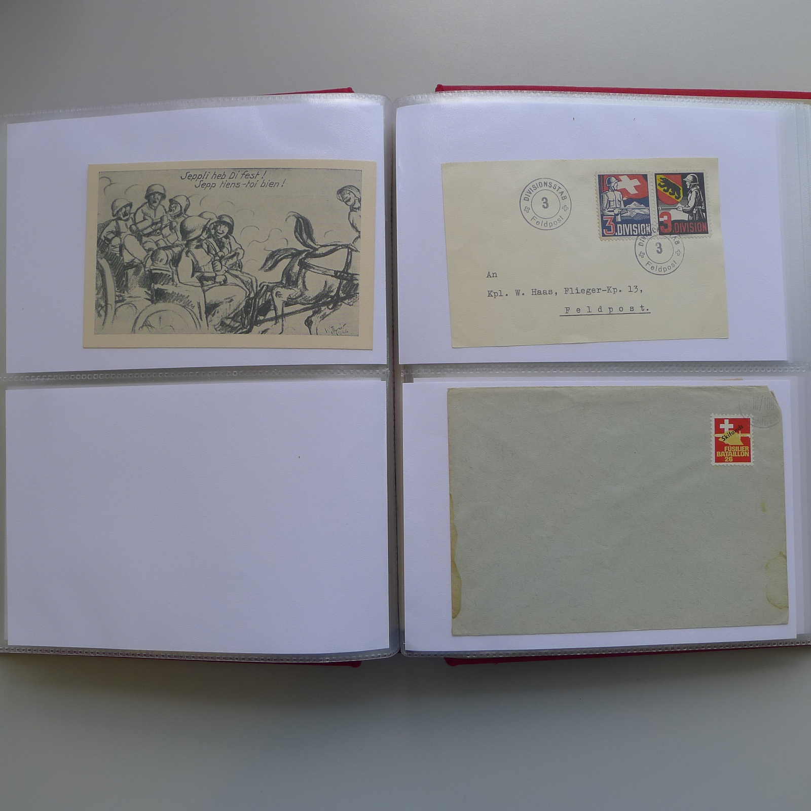 Image 176 for lot number 0003000837 for Luzernerraute Webshop 