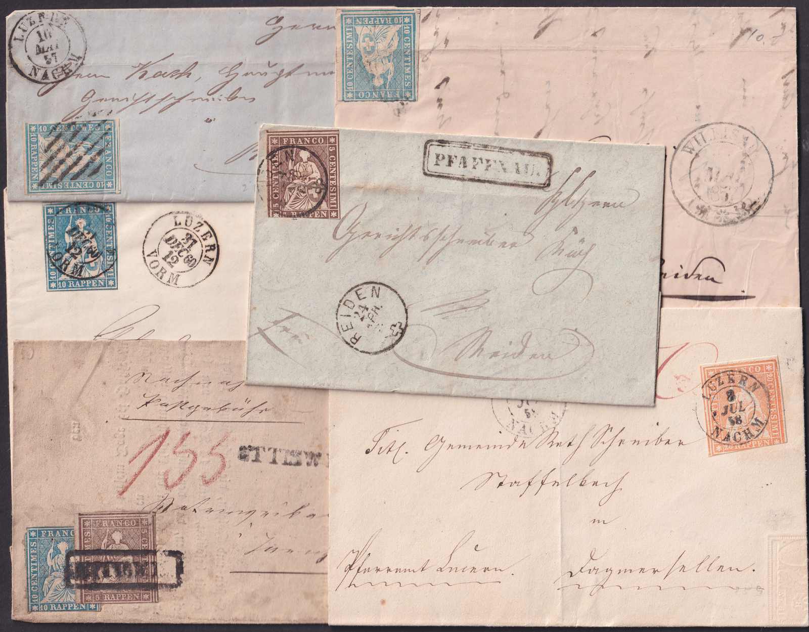 Image 14 for lot number 0003000839 for Luzernerraute Webshop 