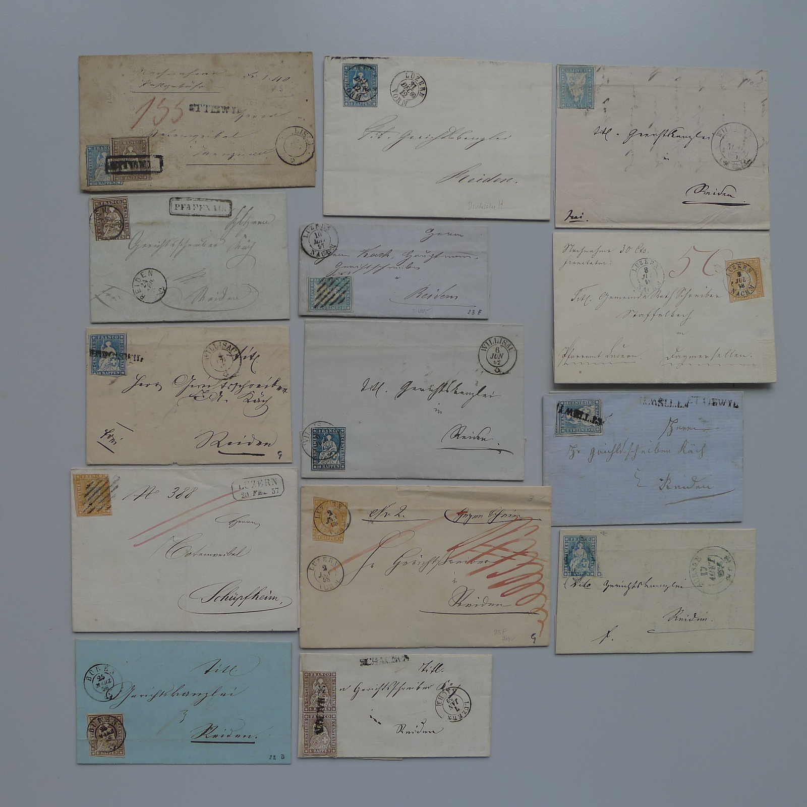 Image 15 for lot number 0003000839 for Luzernerraute Webshop 