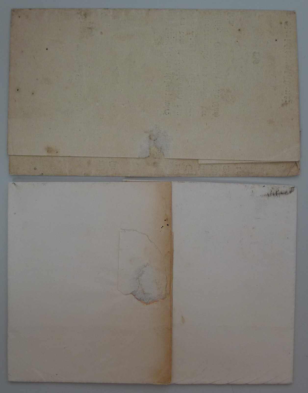 Image 3 for lot number 0003000839 for Luzernerraute Webshop 