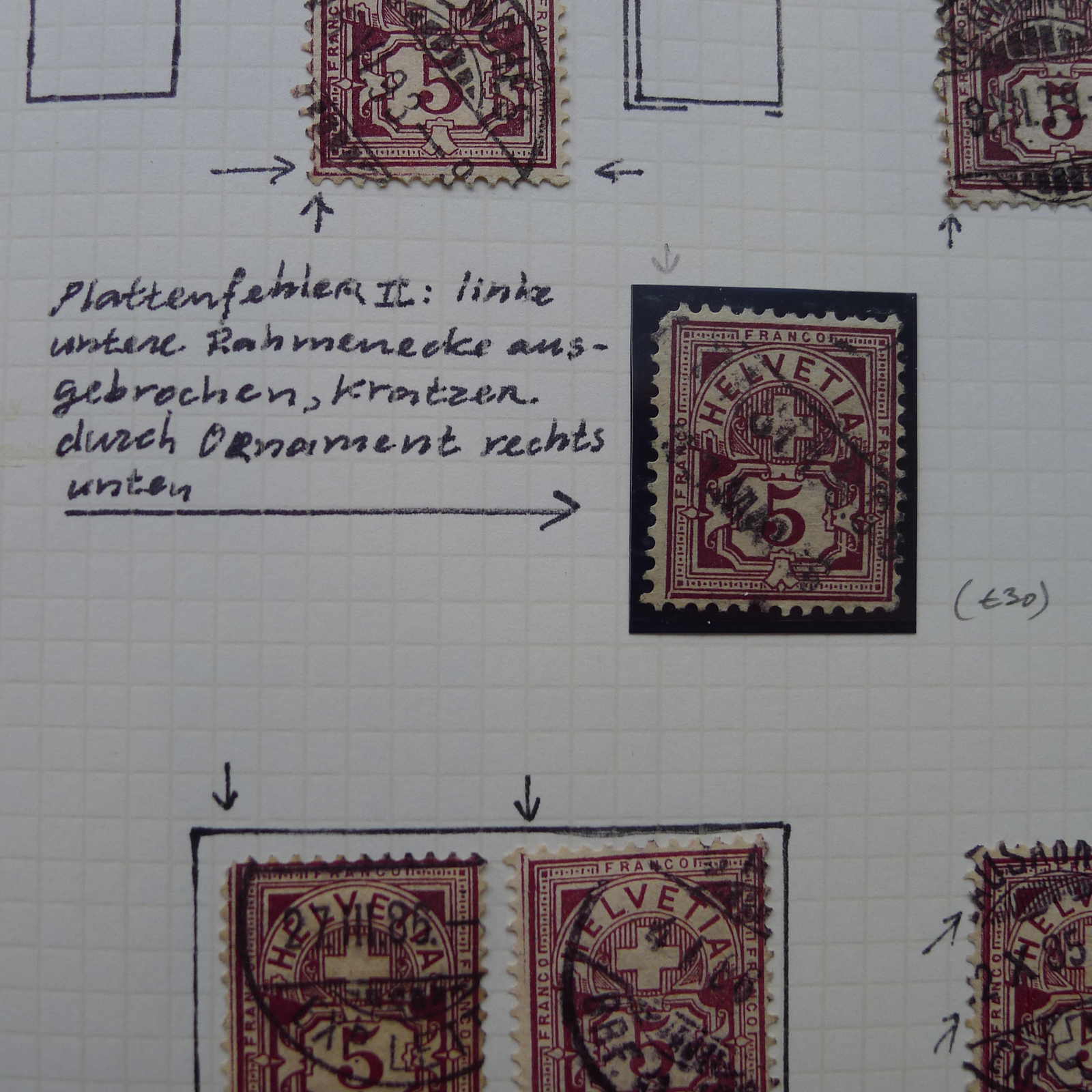 Image 8 for lot number 0003000920 for Luzernerraute Webshop 
